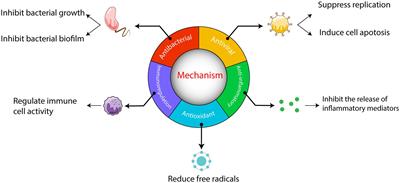 The role and mechanism of TCM in the prevention and treatment of infectious diseases